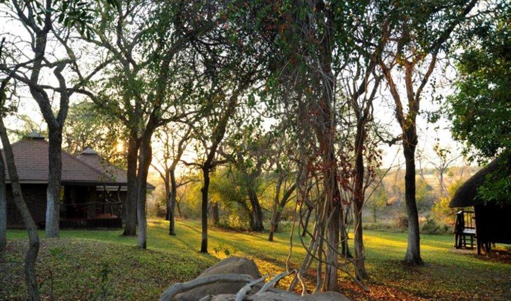 שמורת הציד סאבי סנד Idube Game Reserve מראה חיצוני תמונה
