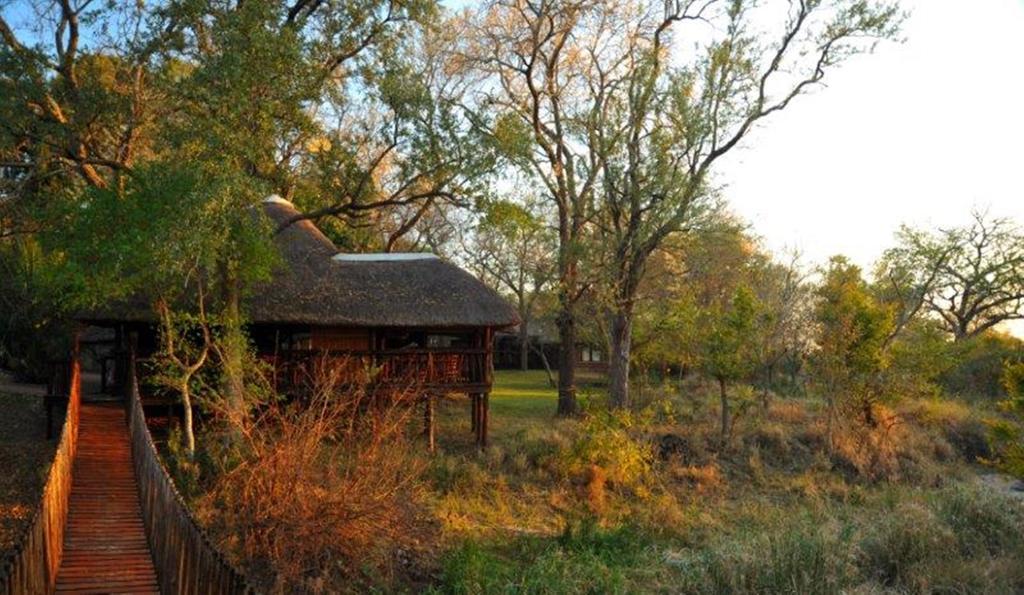 שמורת הציד סאבי סנד Idube Game Reserve חדר תמונה
